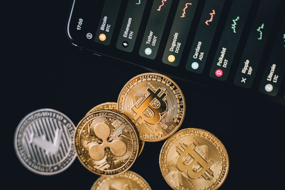 Evernorth ceo'su xrp'yi neden bitcoin'den üstün bulduğunu açıkladı